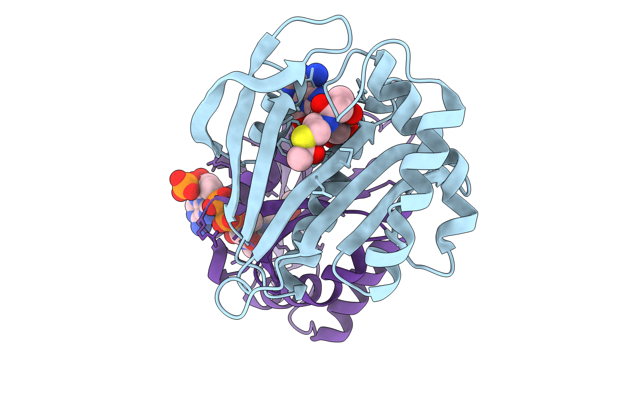 1j4j image