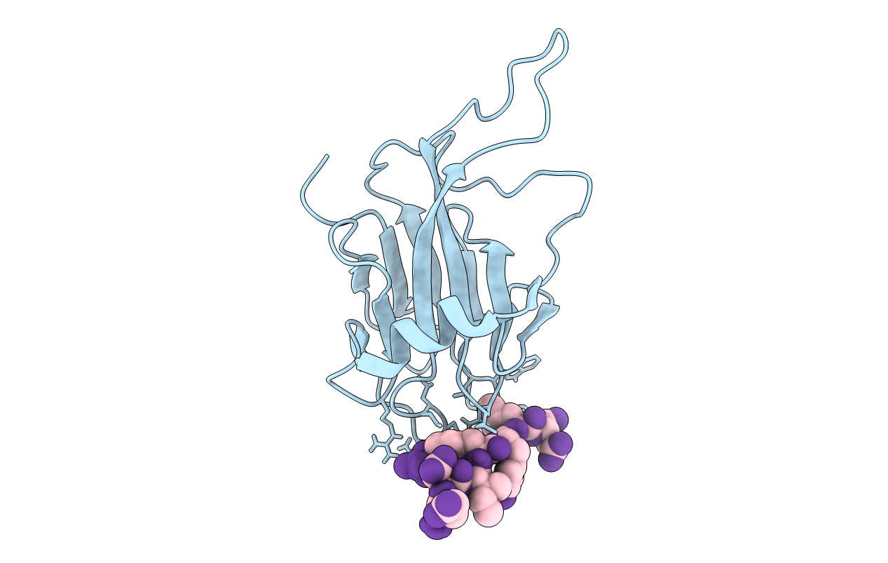1J4K image