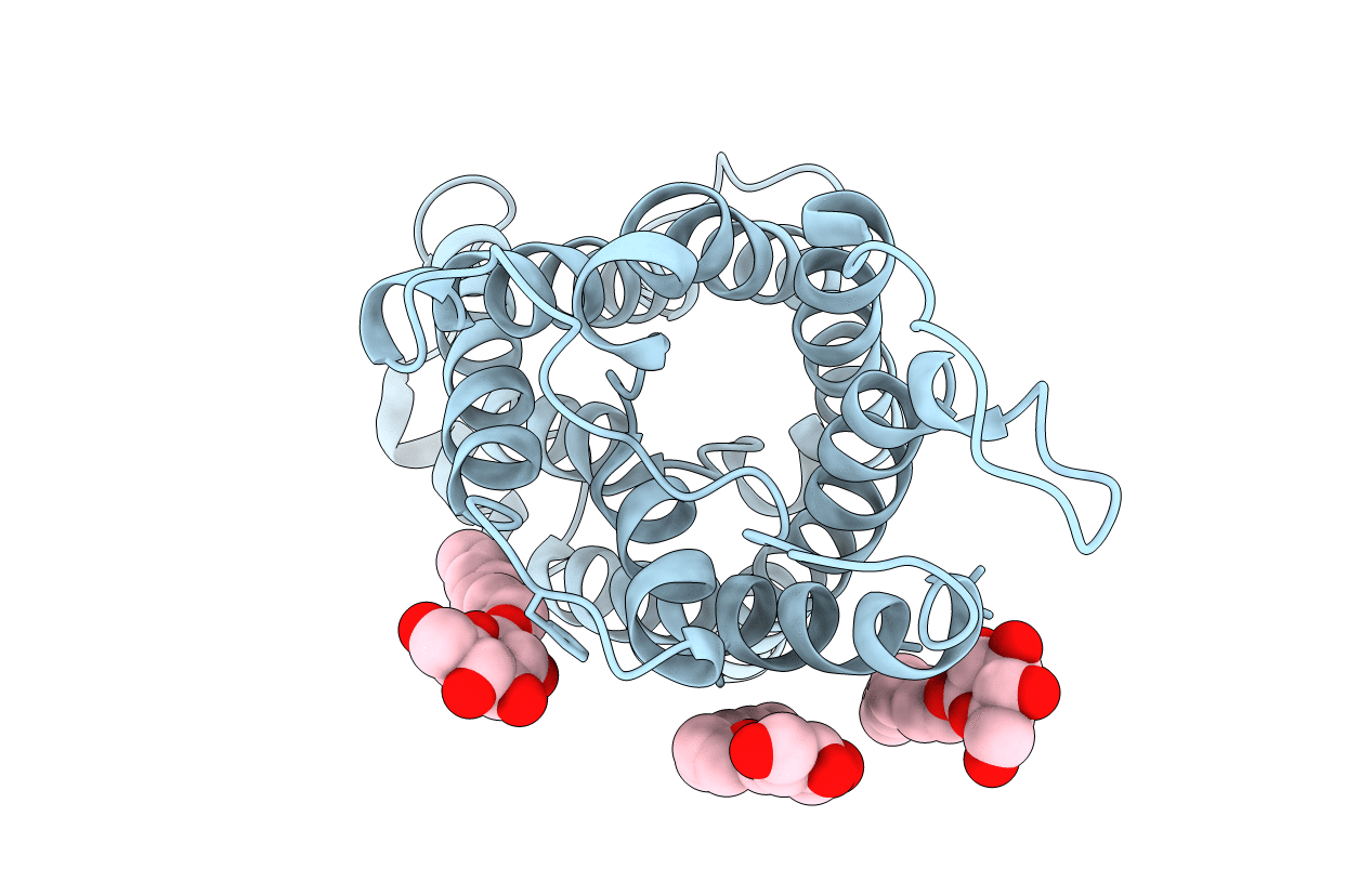1J4N image