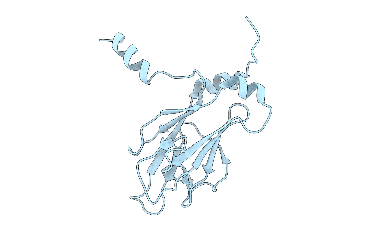 1J4O image