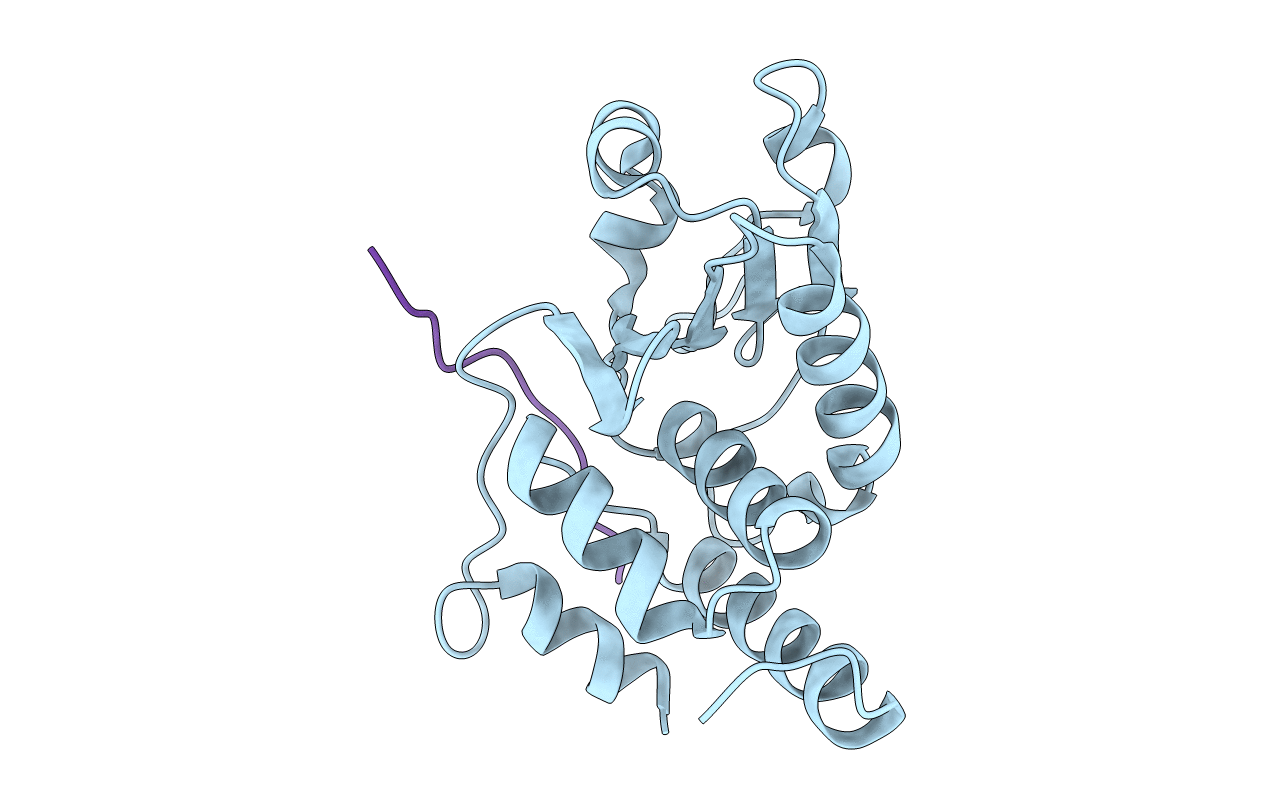 1J4X image