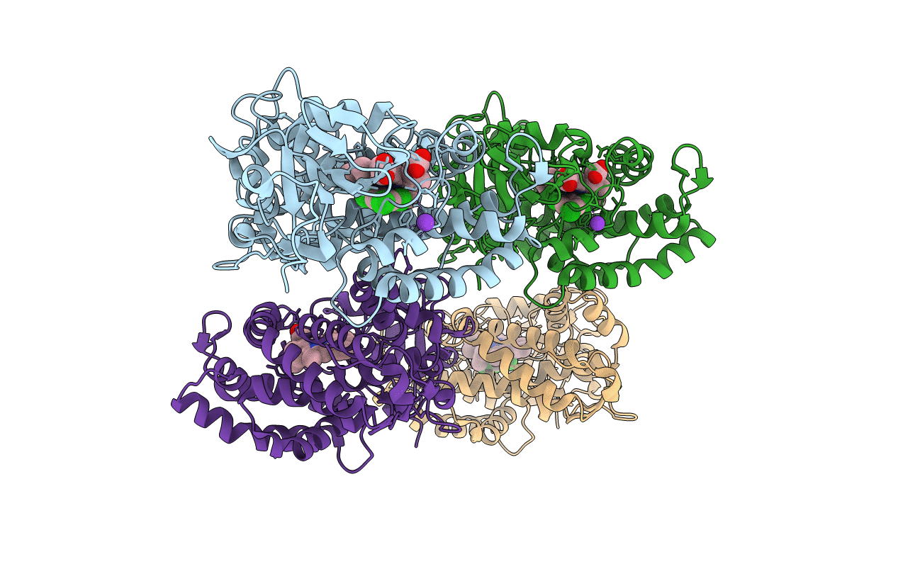 1J51 image