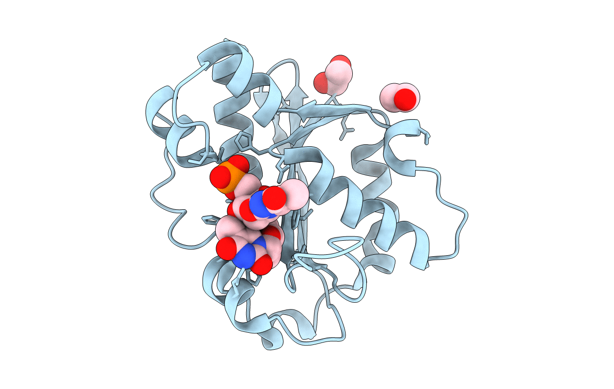 1J53 image