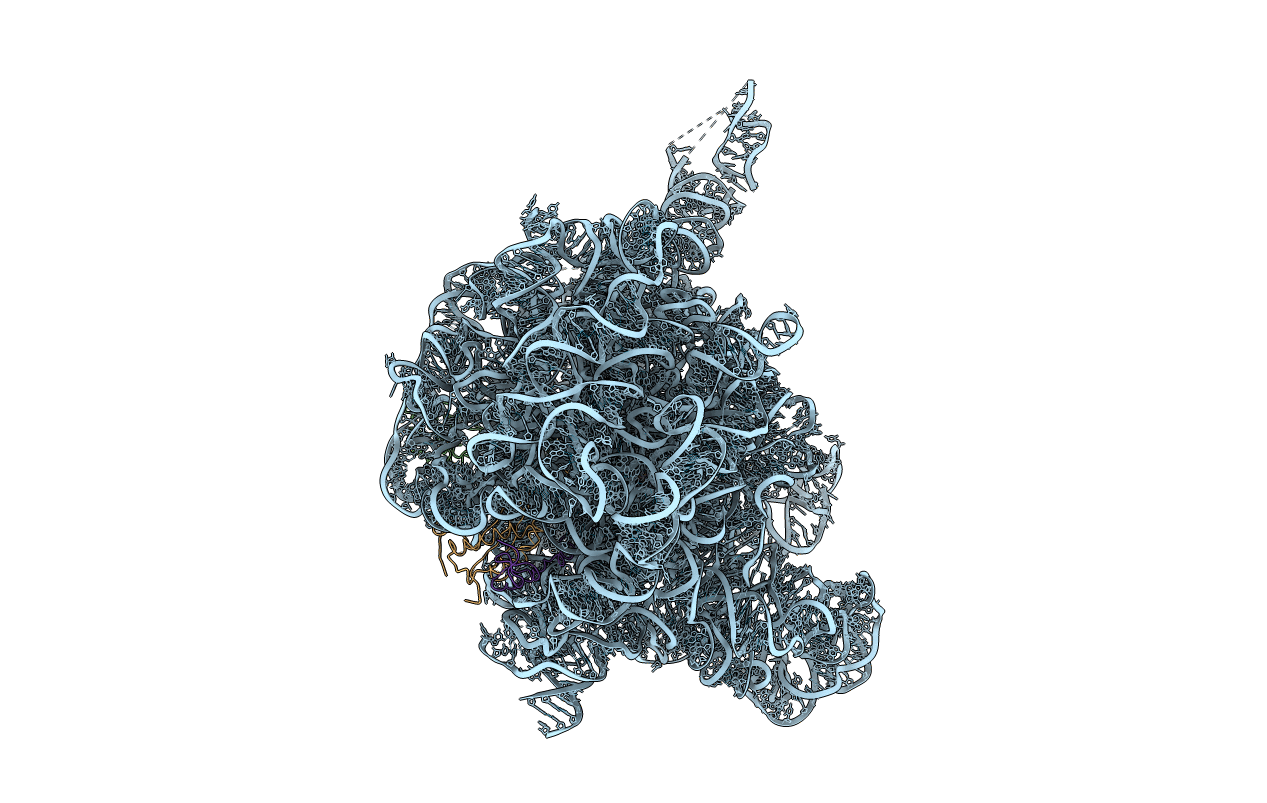 1J5A image