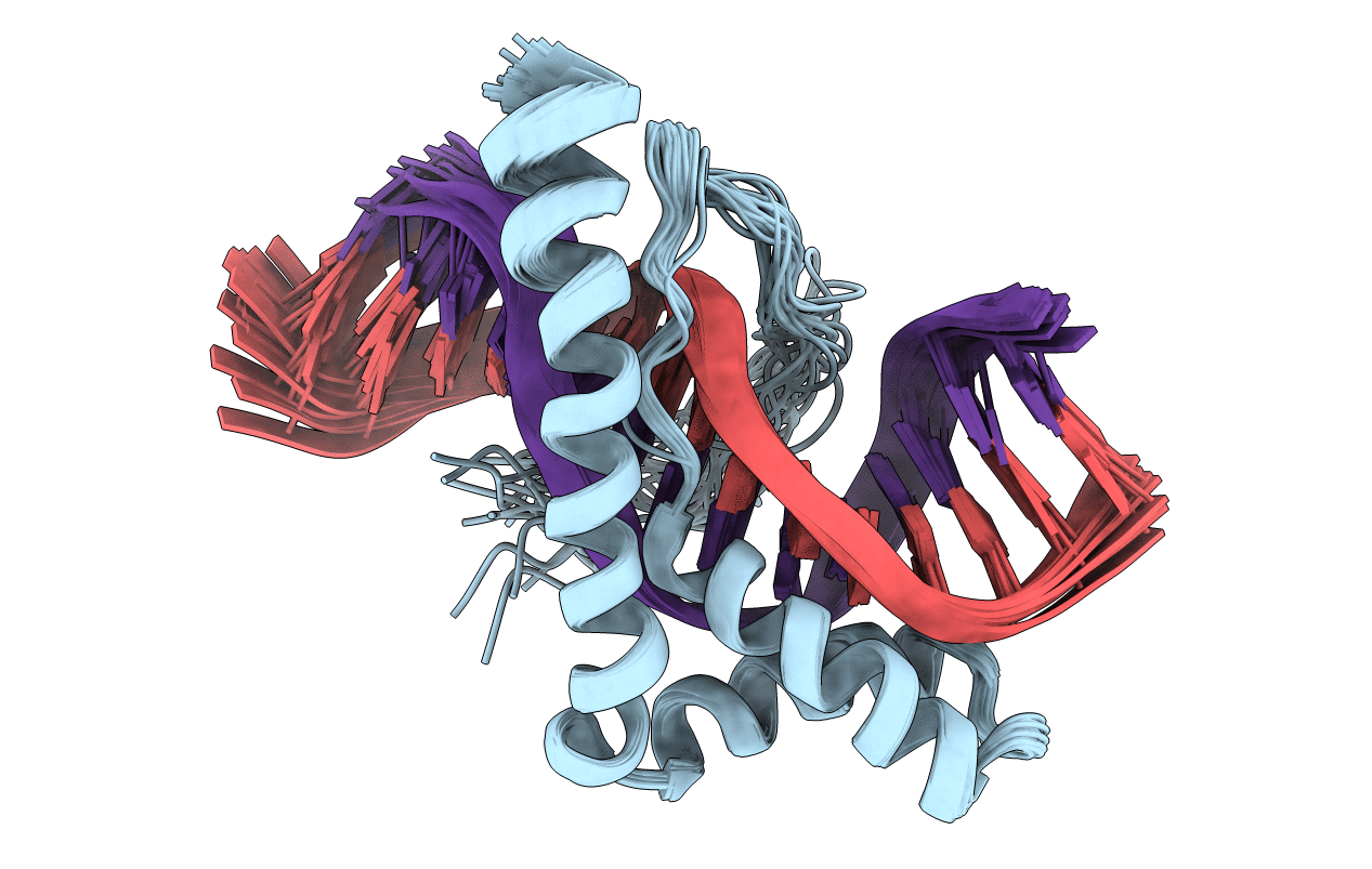 1J5N image