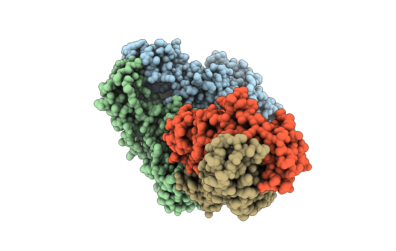 1J5O image