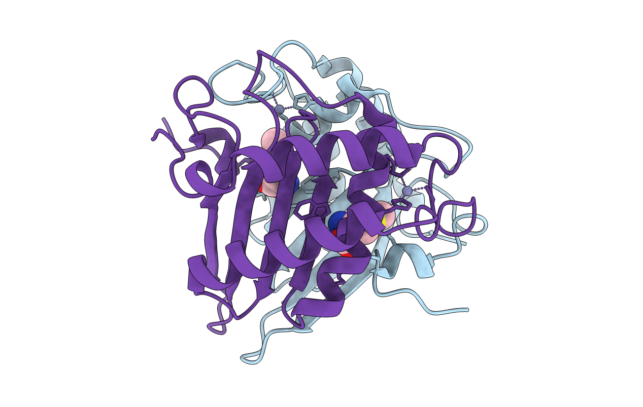 1J6X image
