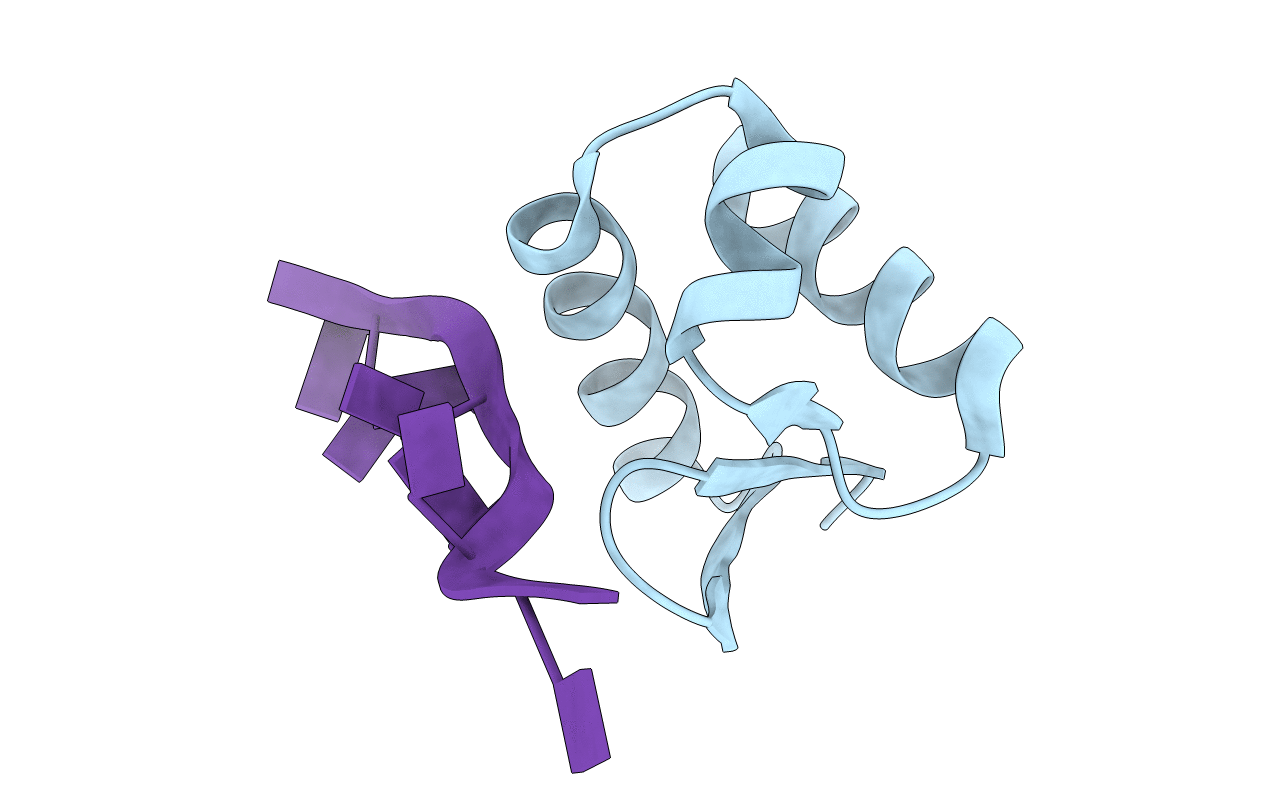 1J75 image