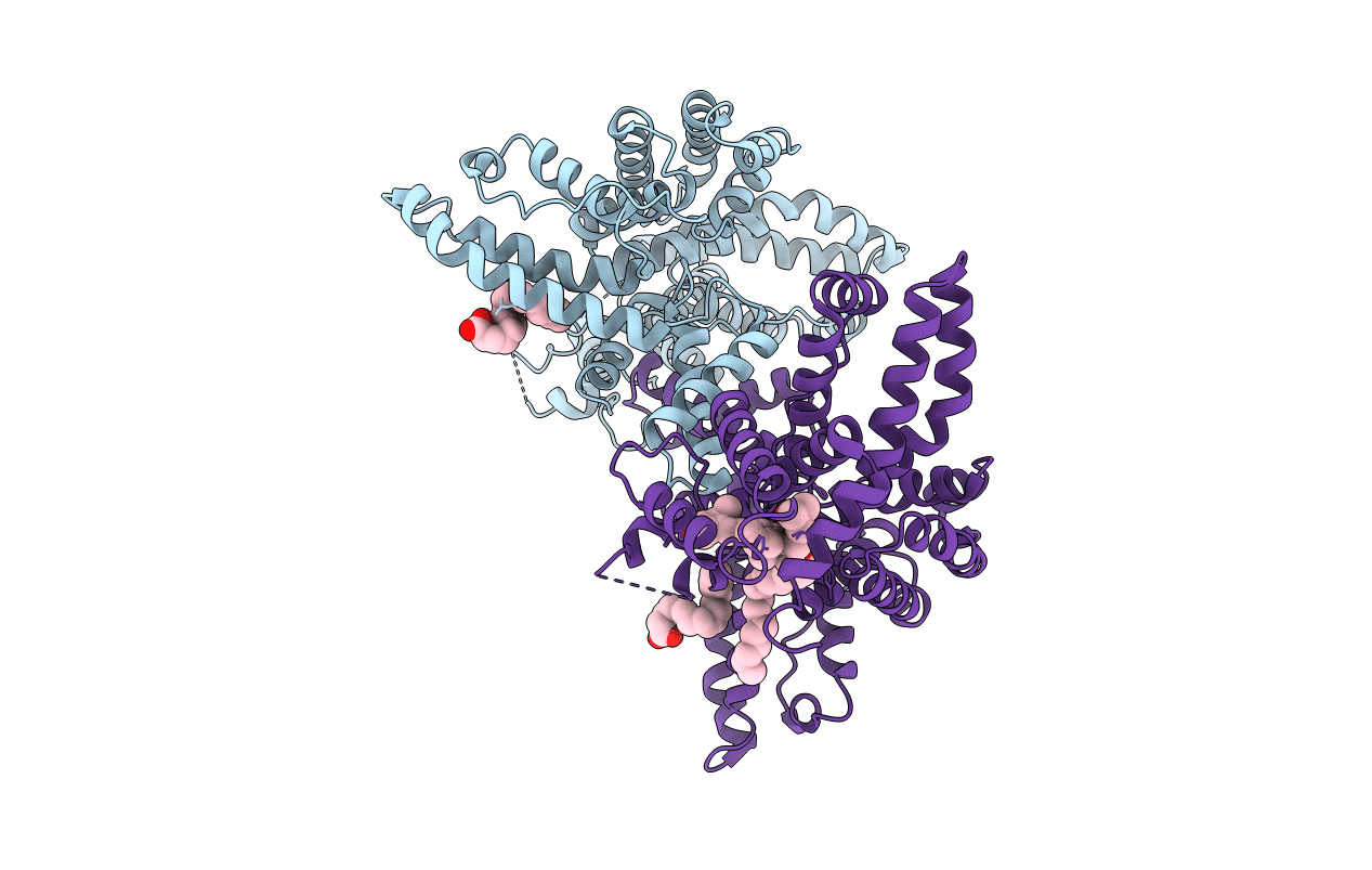 1J78 image