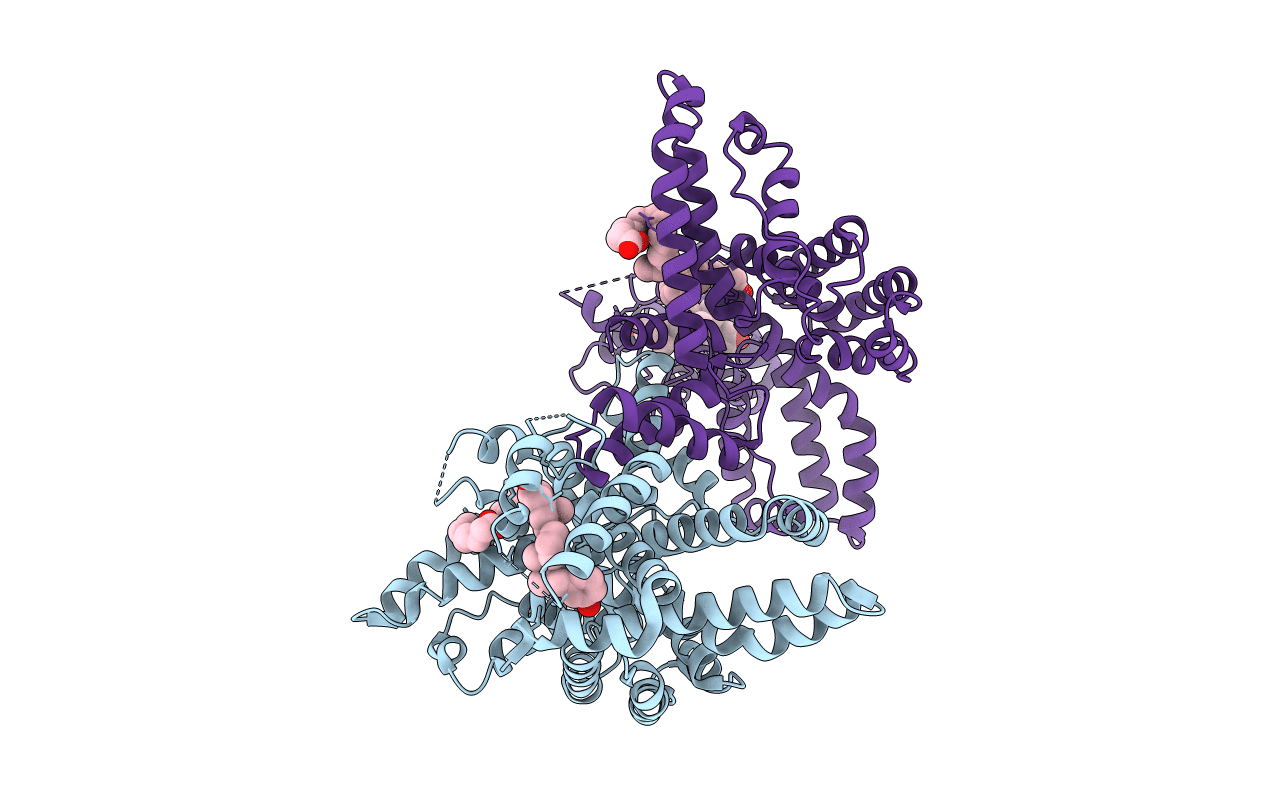 1J7E image