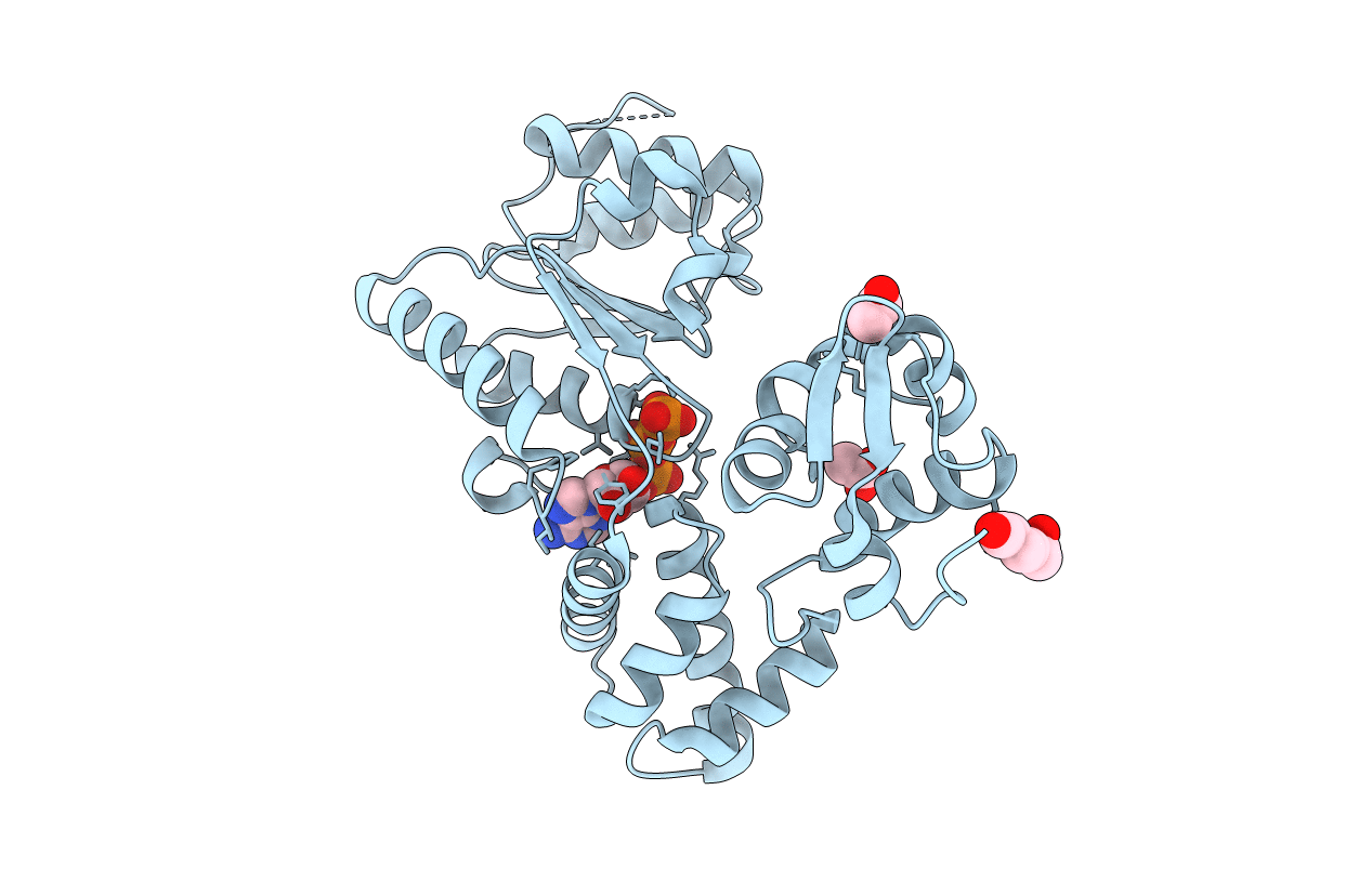 1J7K image