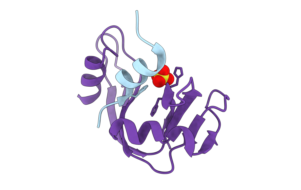 1J81 image