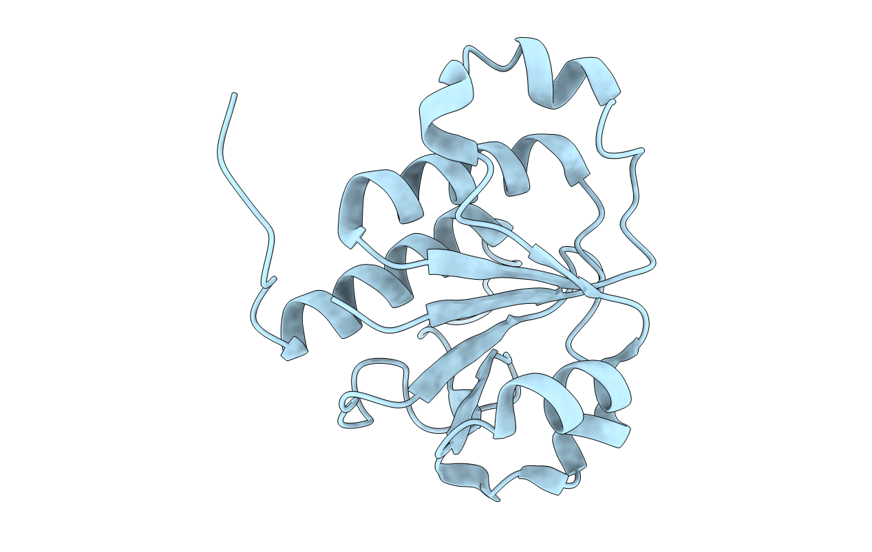 1j85 image