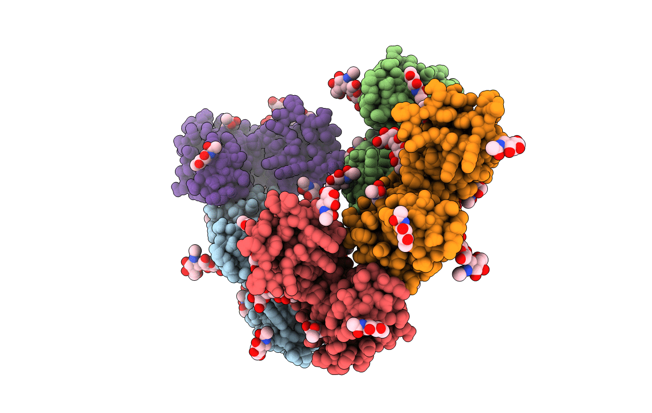 1J89 image