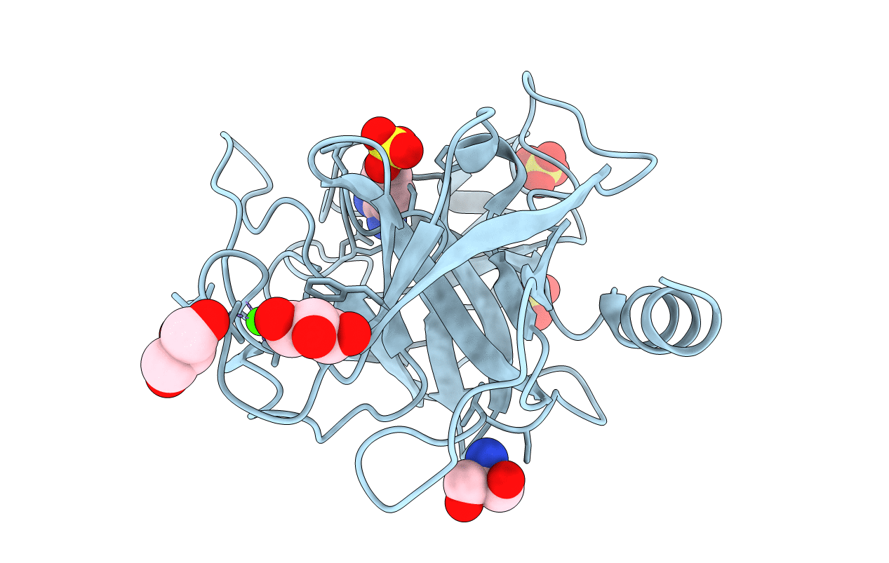 1J8A image