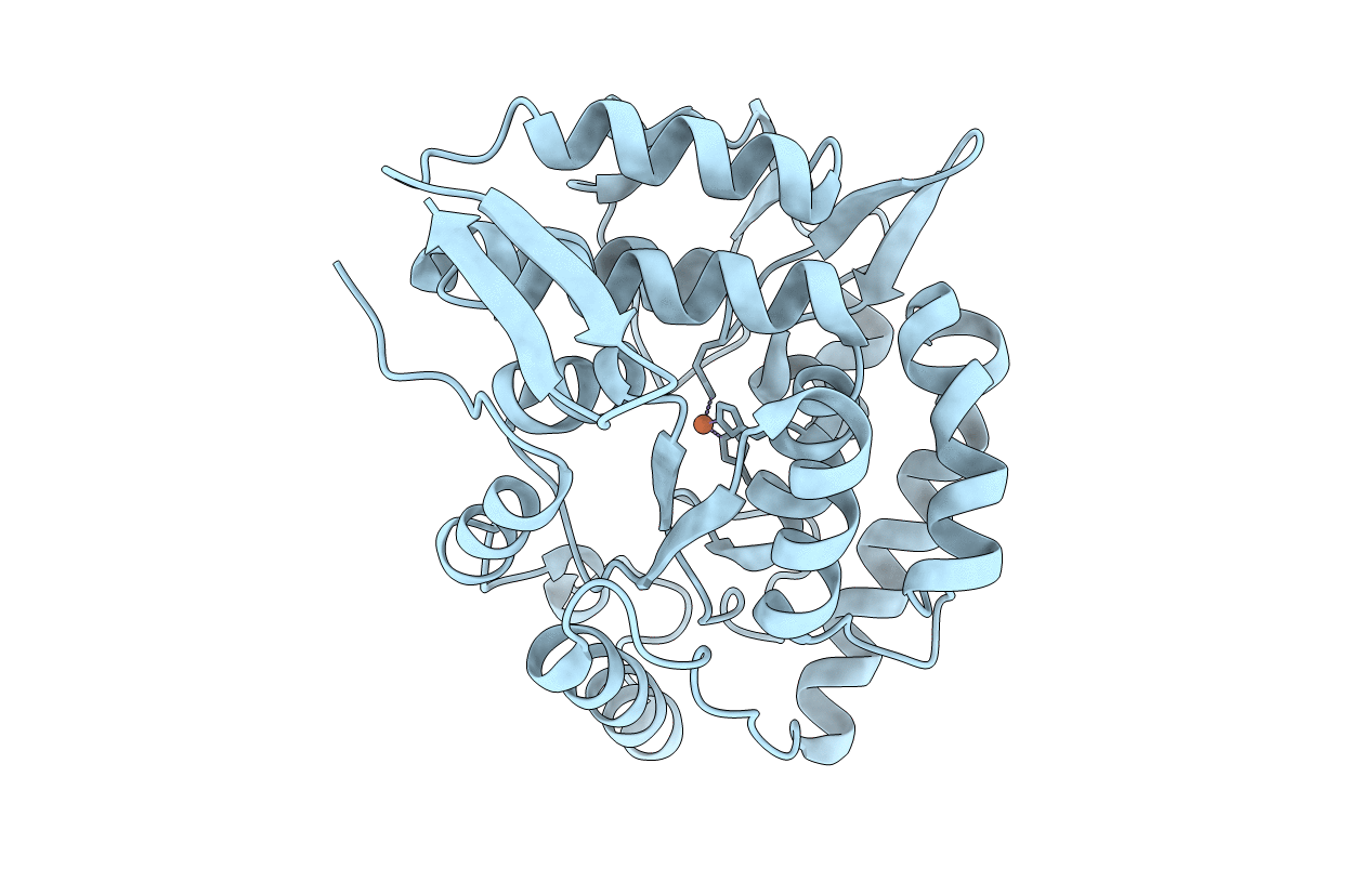 1J8T image