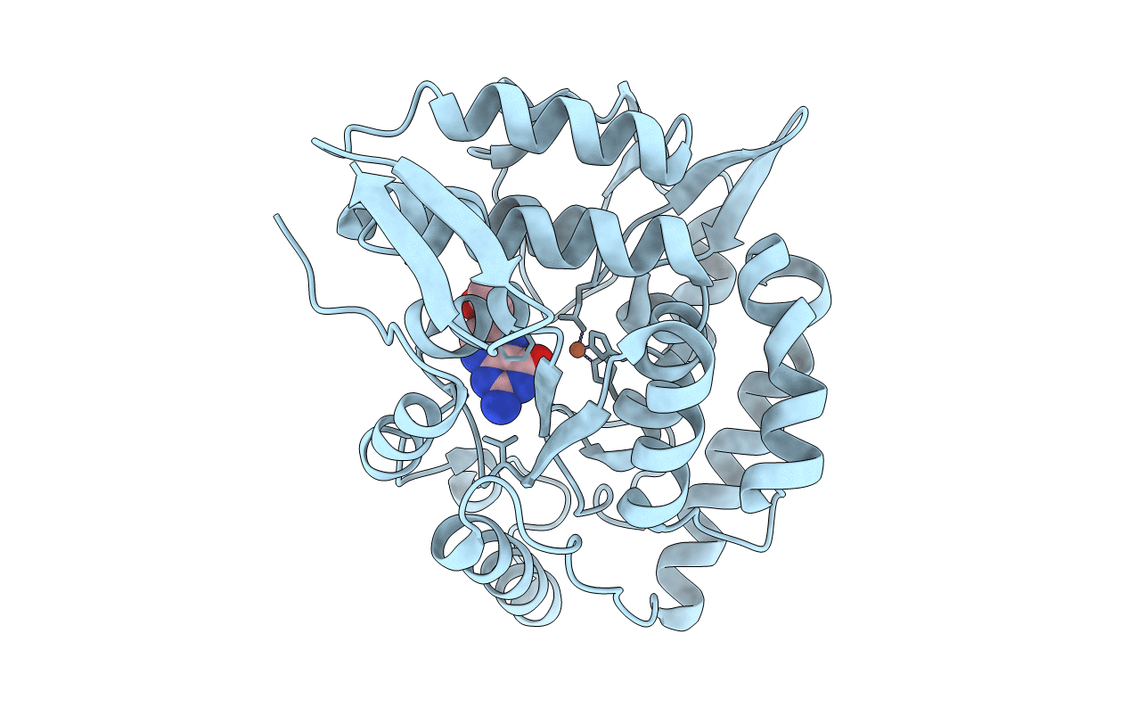 1J8U image