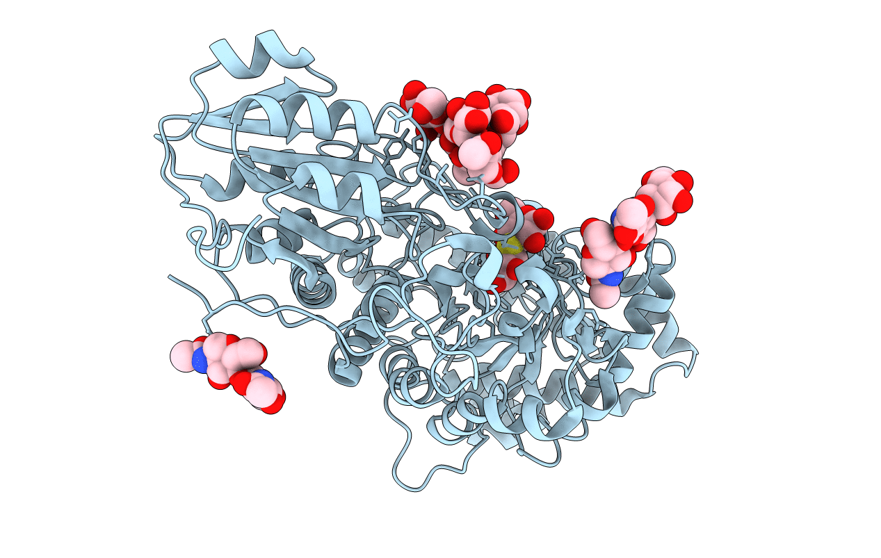 1J8V image