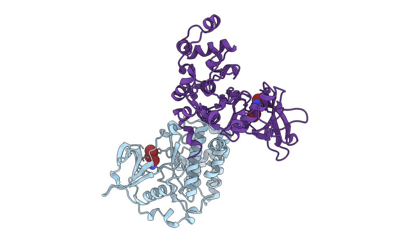 1J91 image