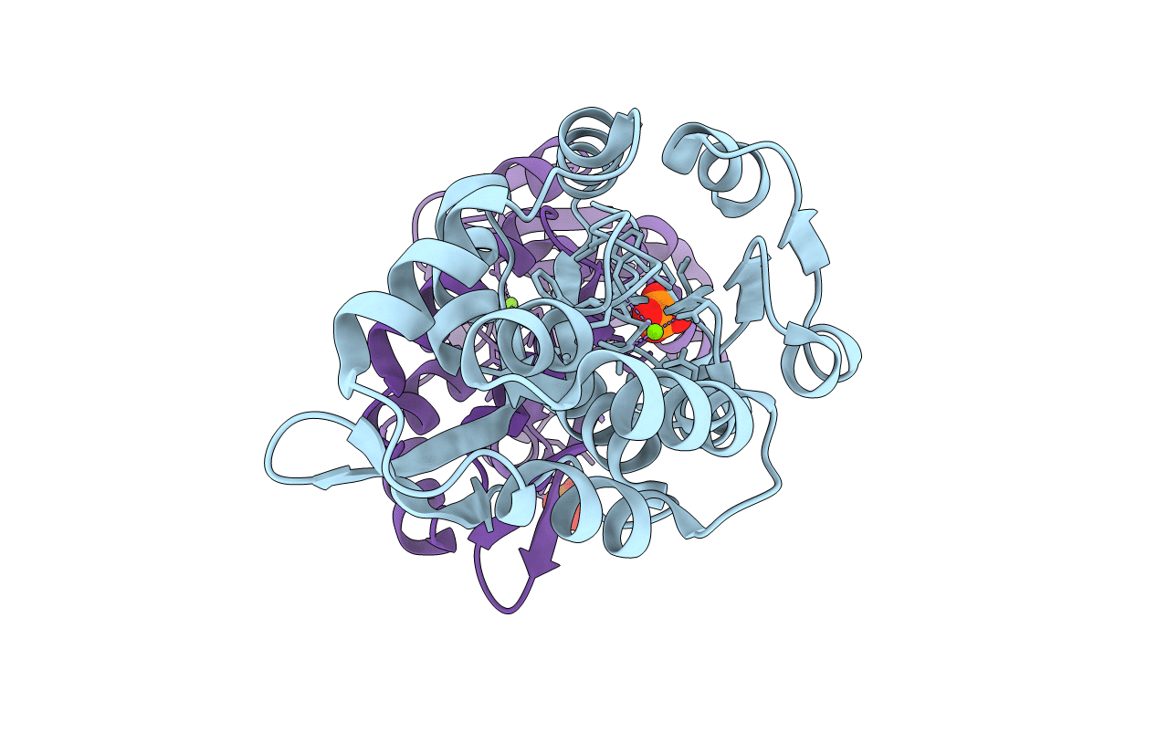 1J97 image