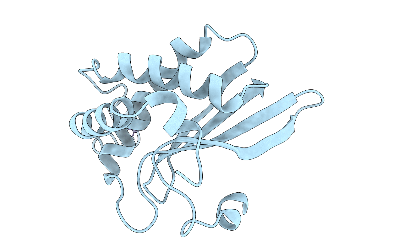 1J98 image