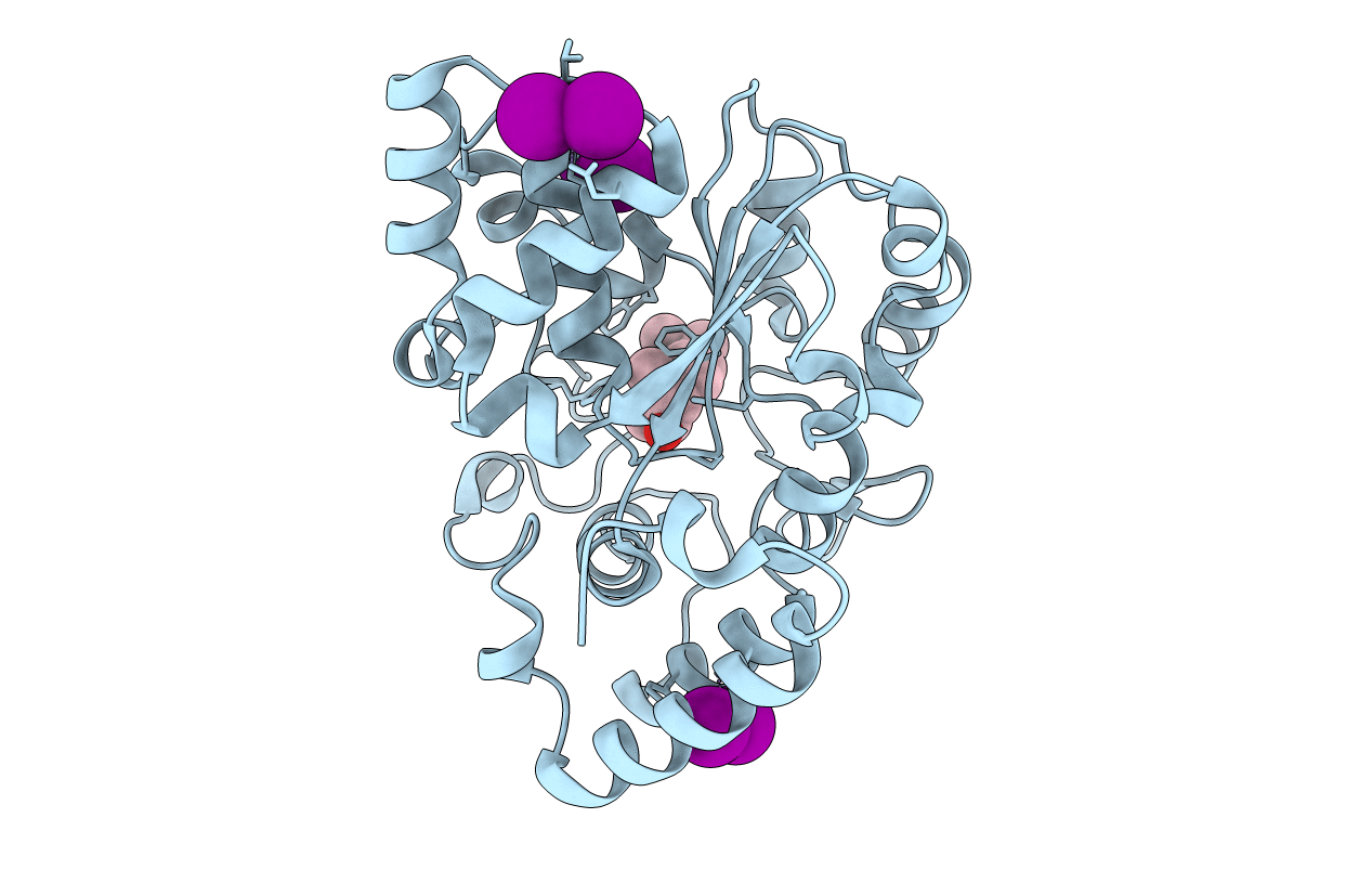 1J99 image