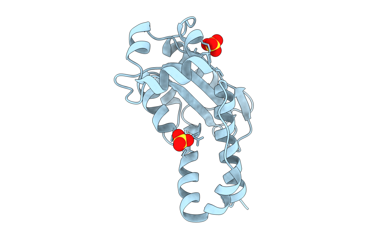 1J9A image