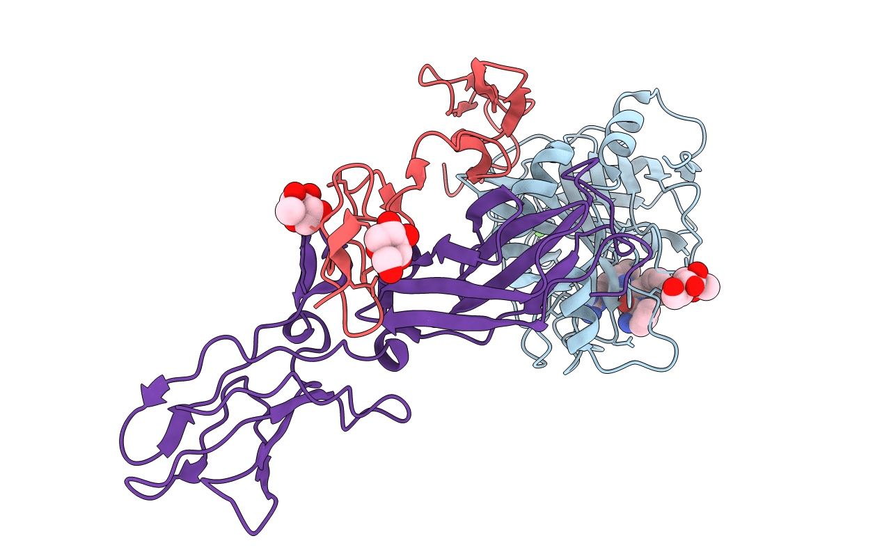 1J9C image