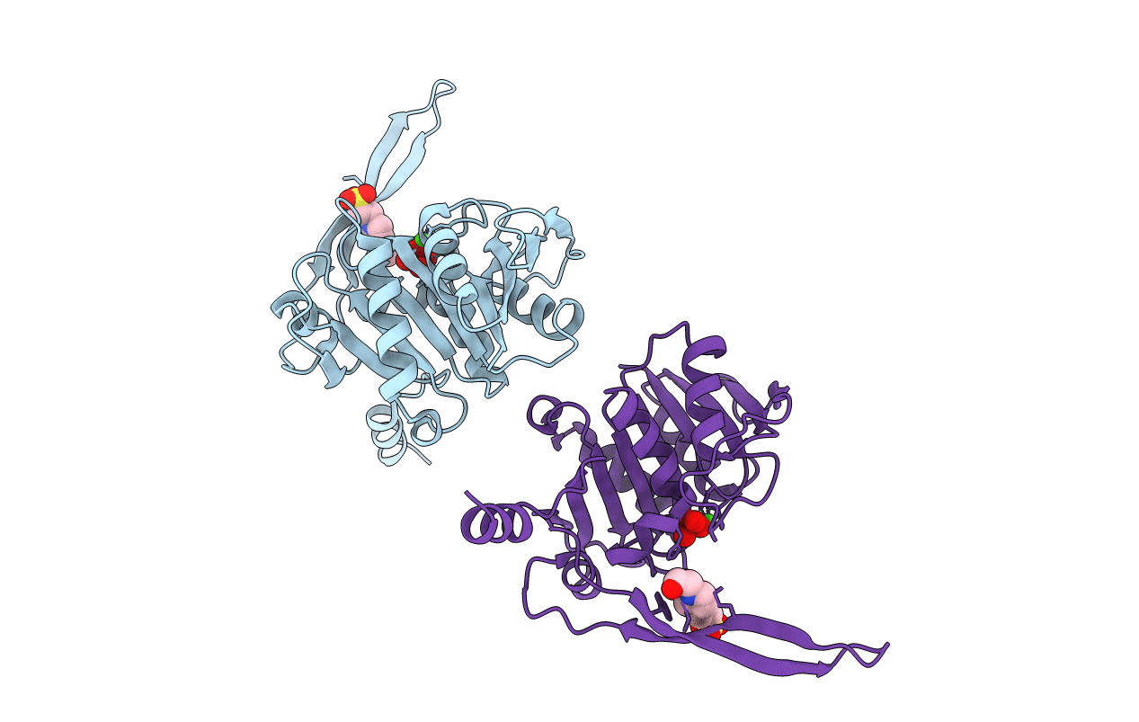 1J9K image