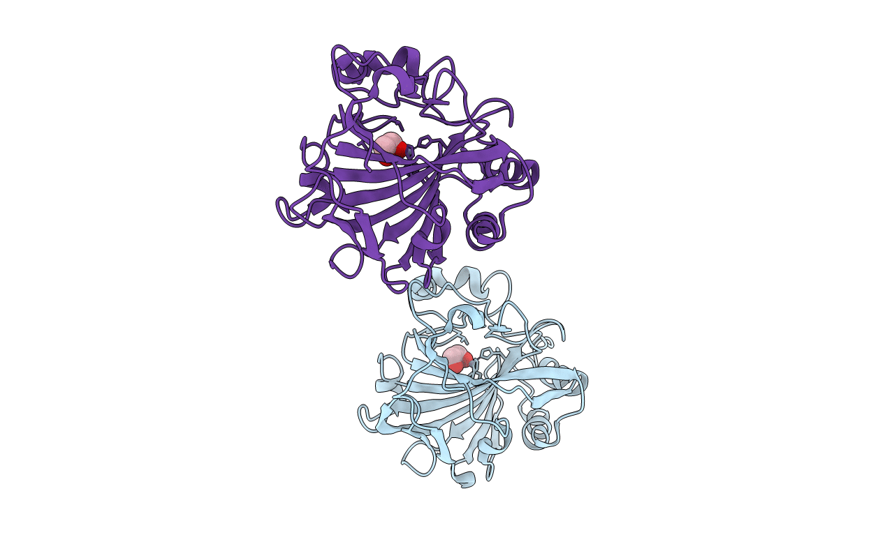 1J9W image
