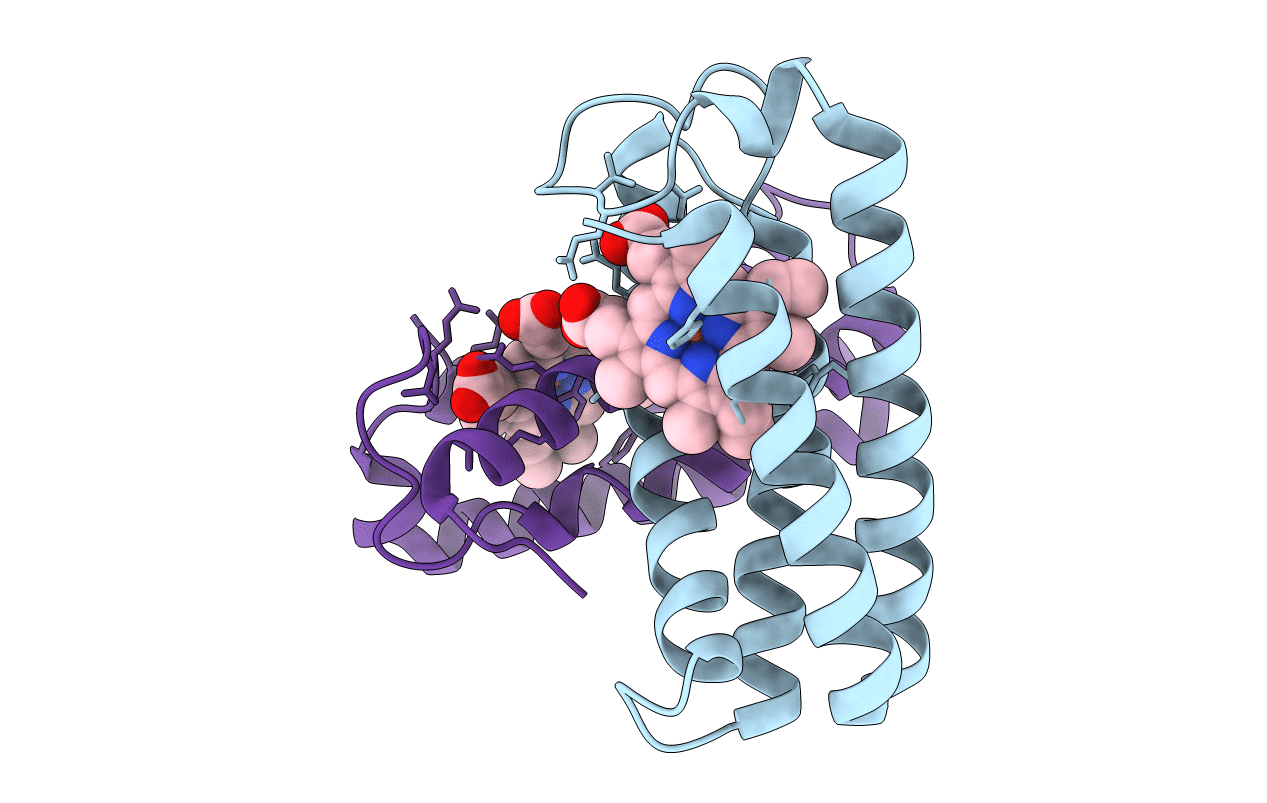 1JAF image