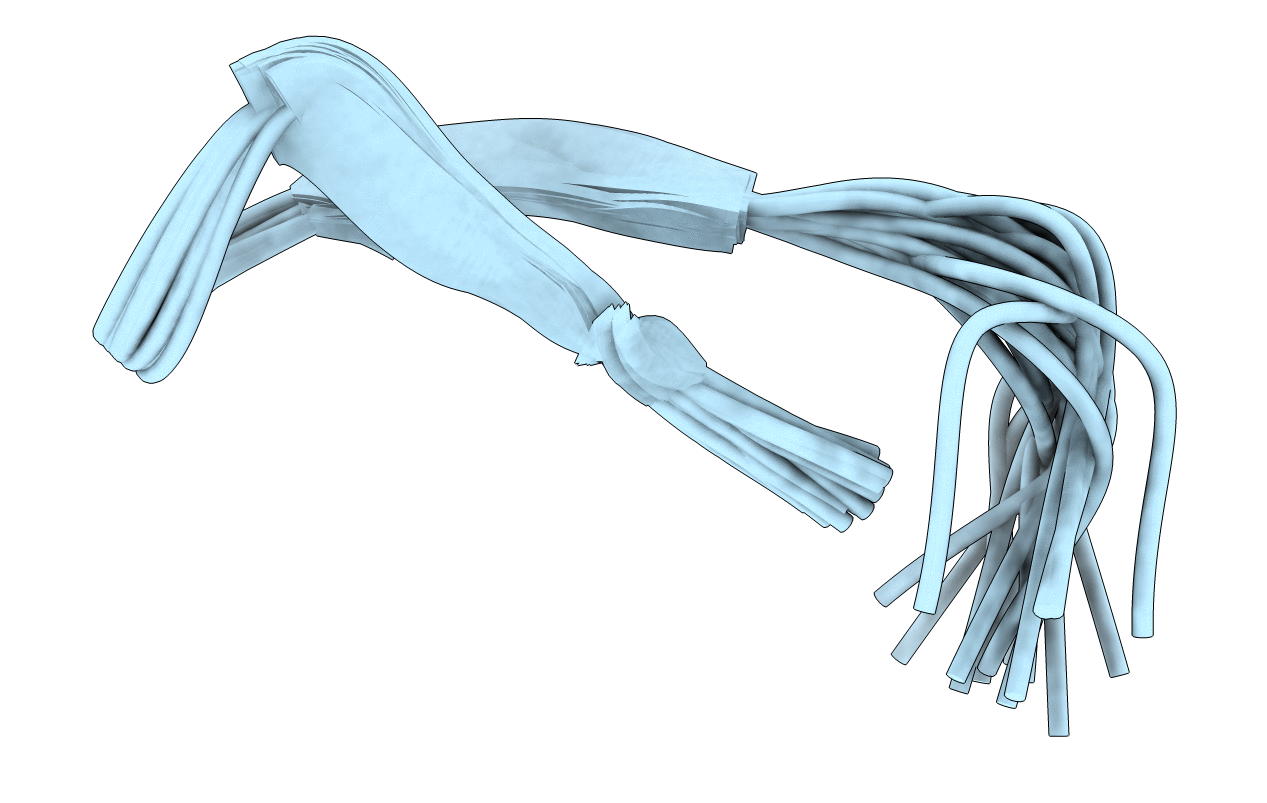 1JBF image
