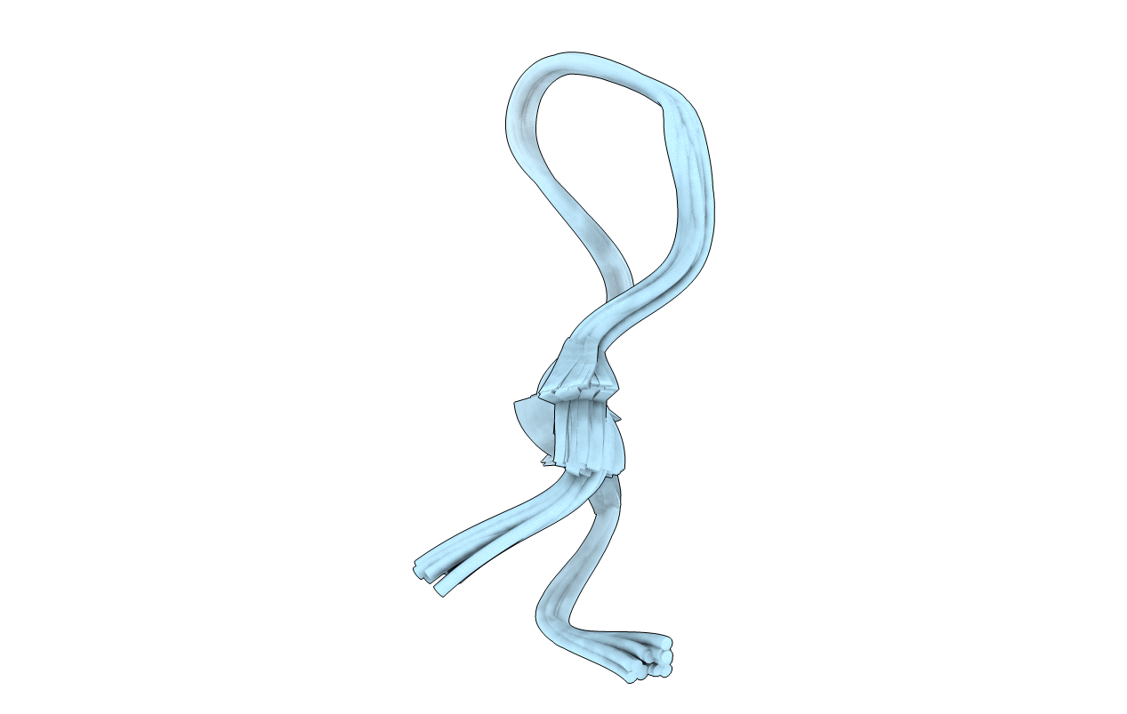 1JBN image