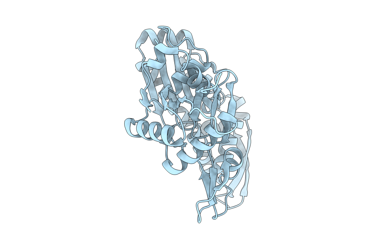 1JCF image