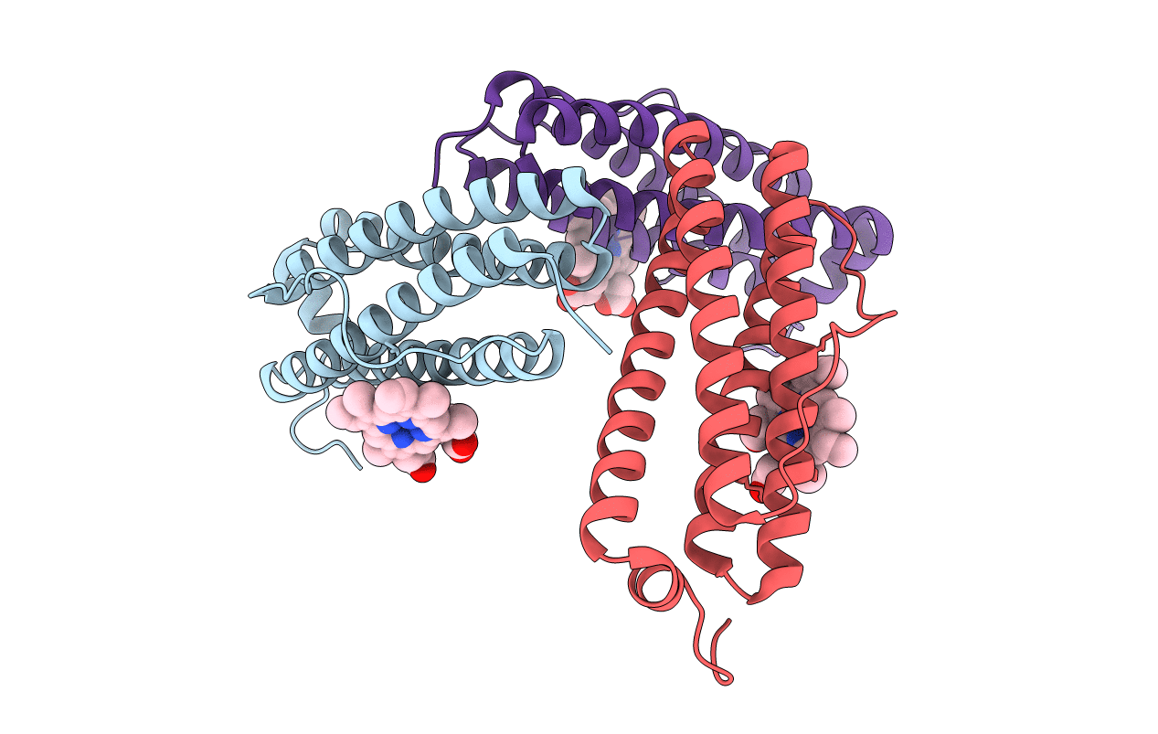 1JGC image