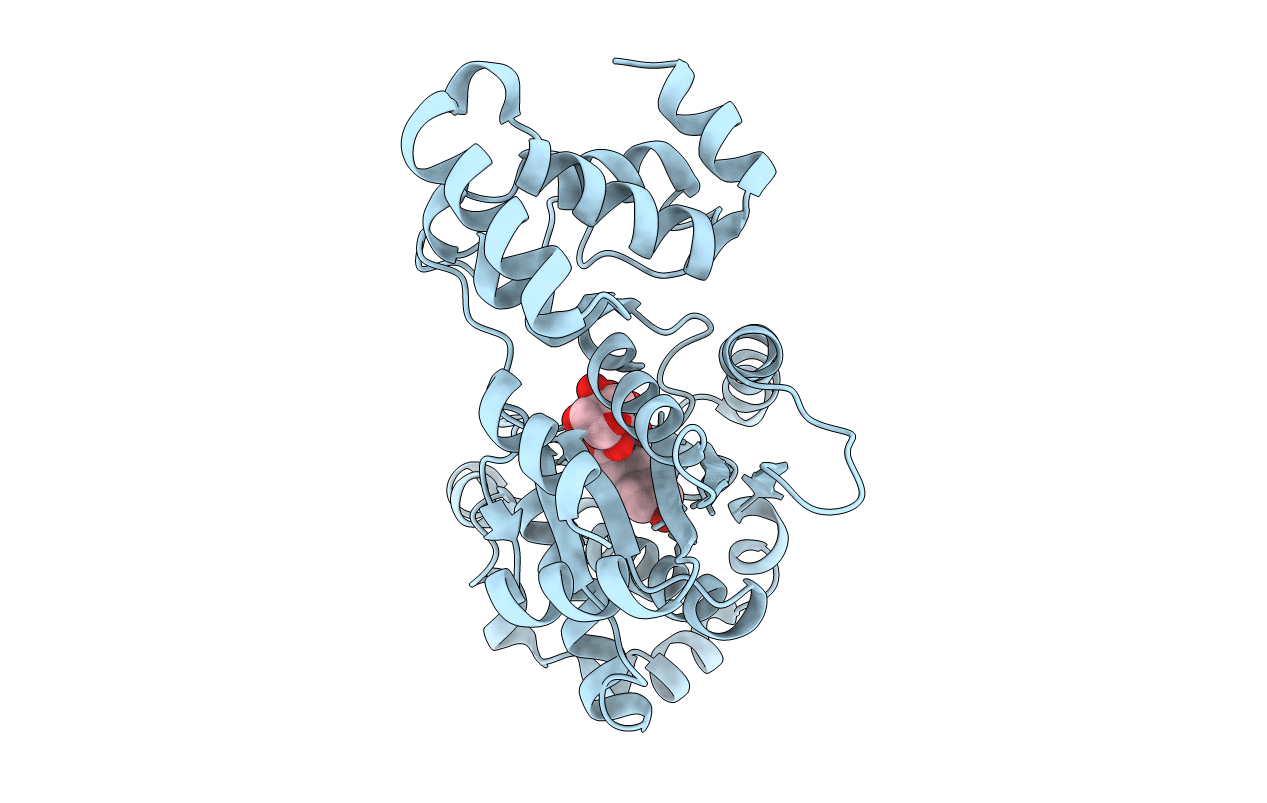 1JII image