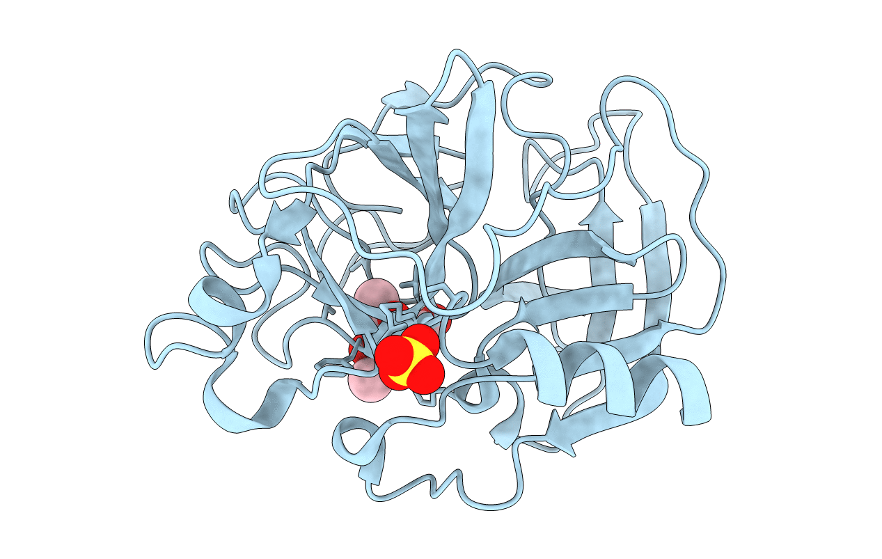 1JIM image