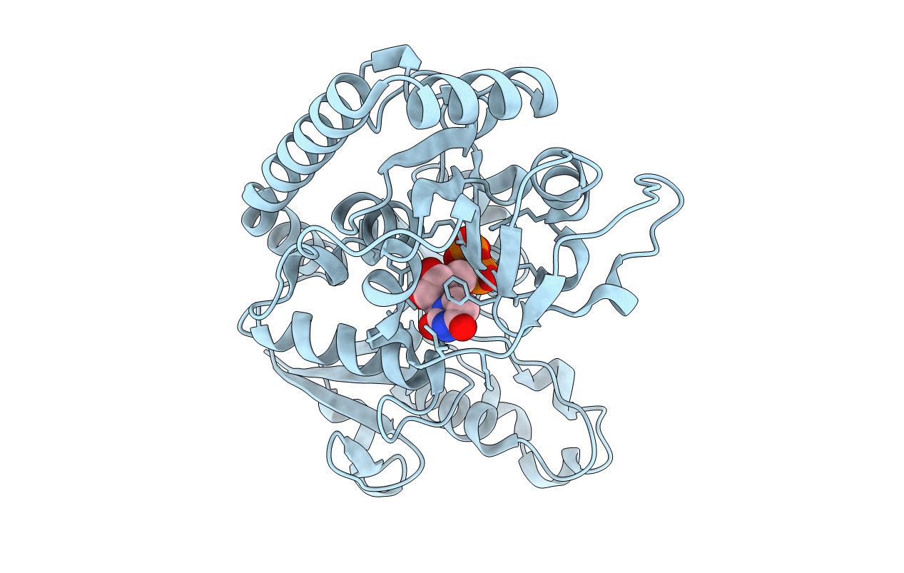 1JIX image