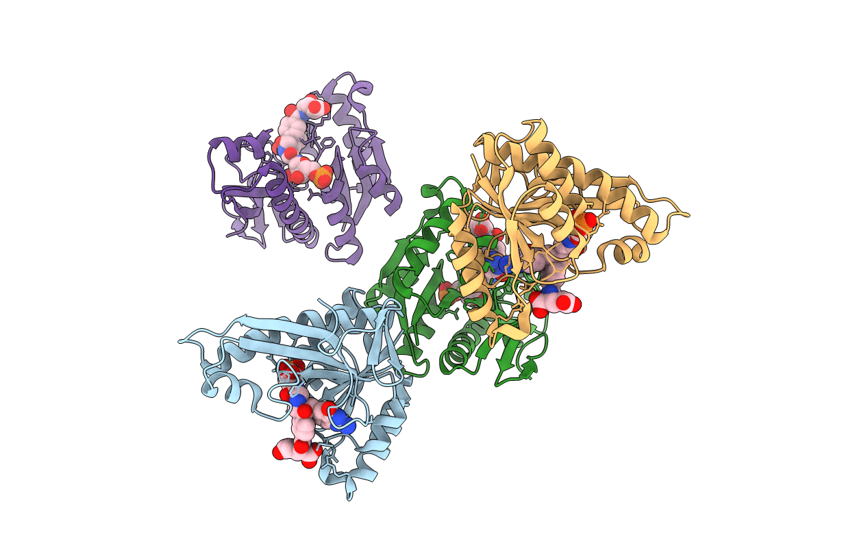 1JKX image