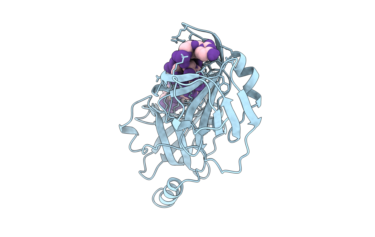 1JMC image