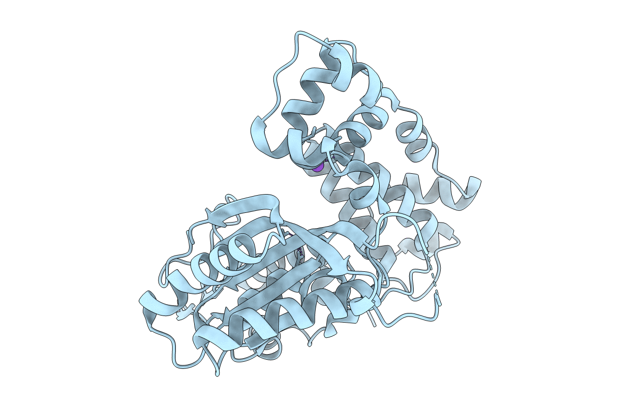 1JMS image
