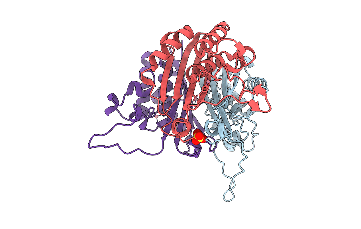 1JN1 image