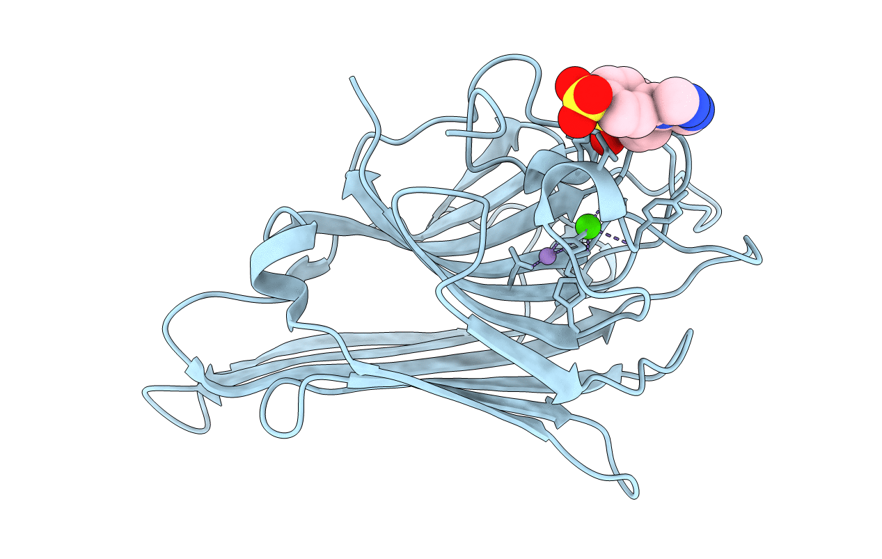 1JN2 image
