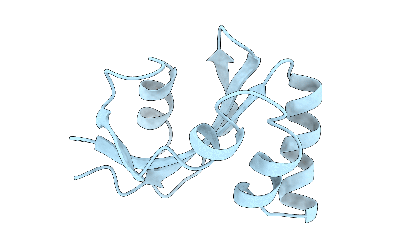 1JNT image