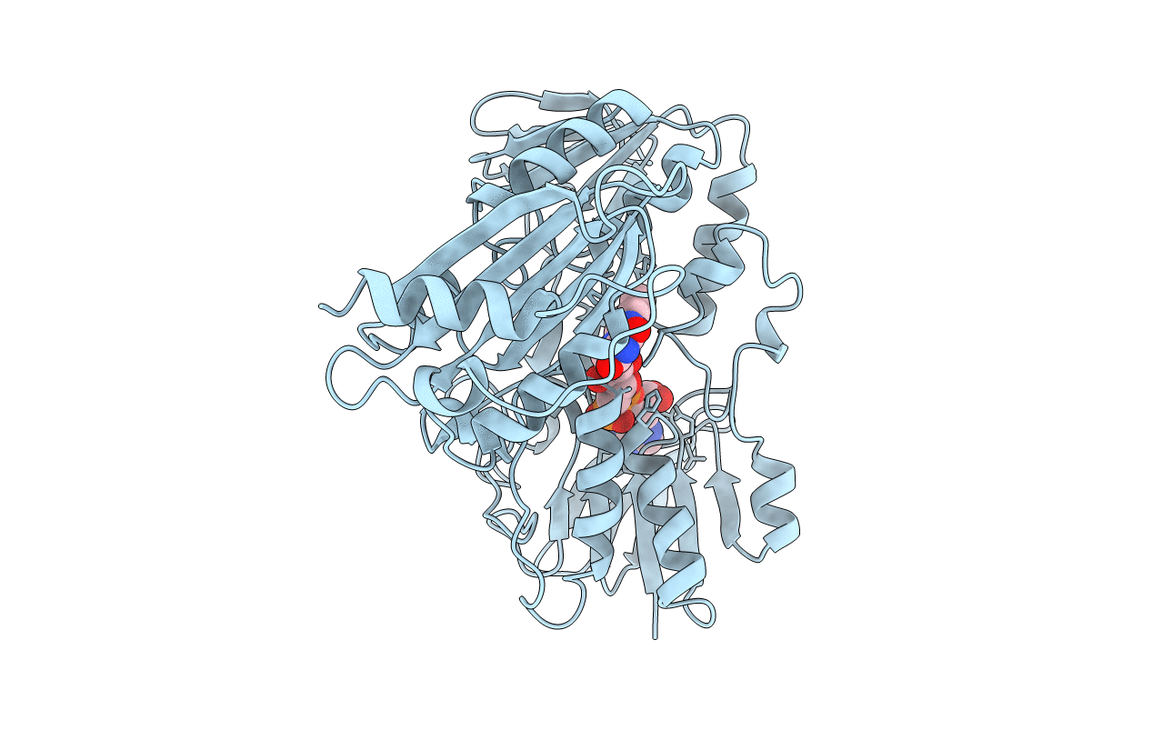 1JOA image