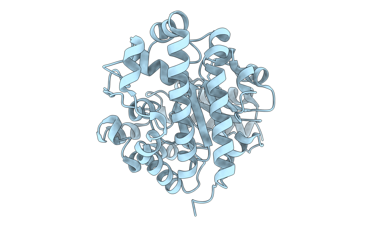 1JPI image