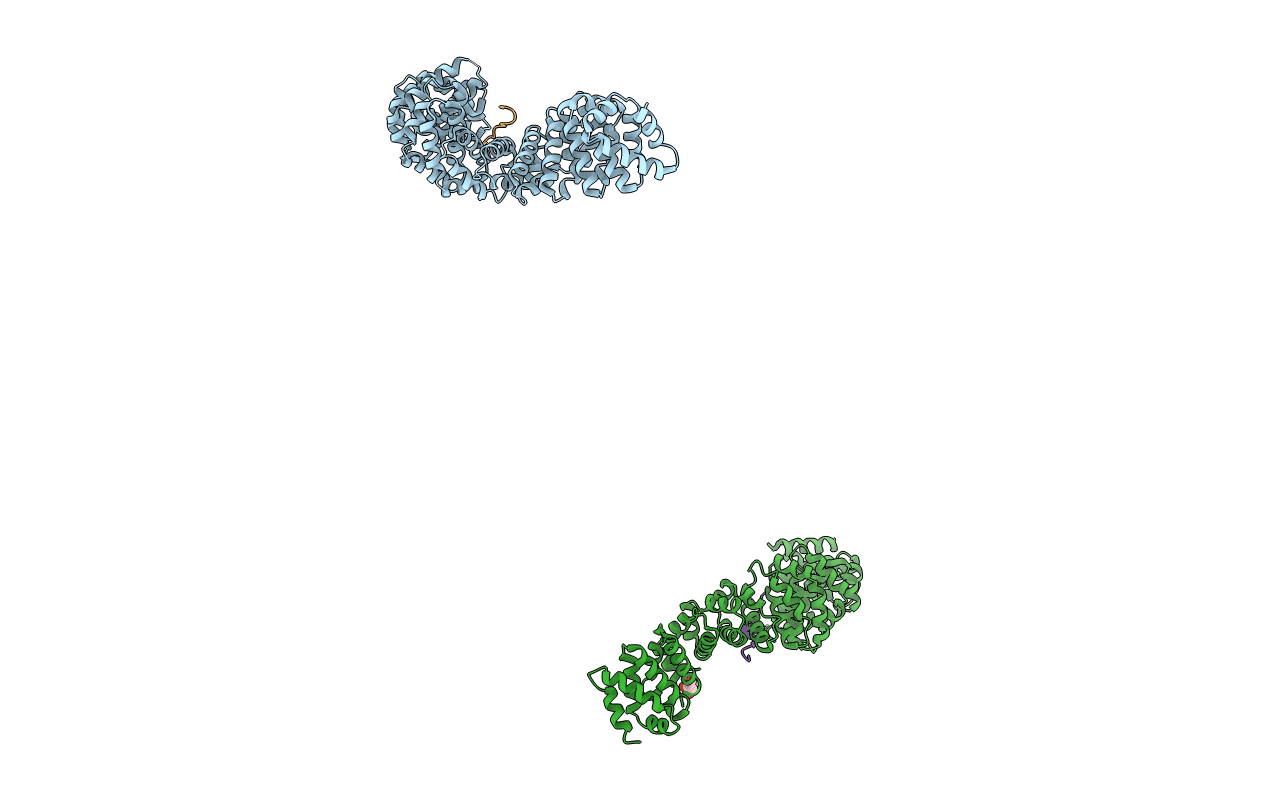 1JPP image