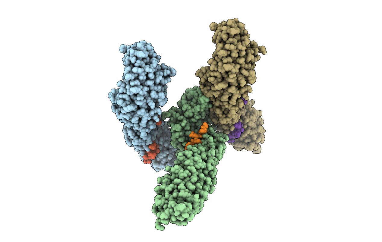 1jpw image
