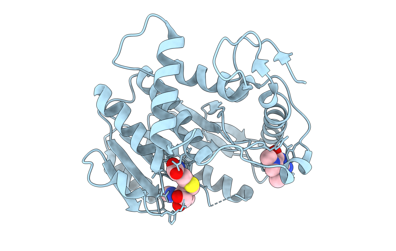 1JSZ image