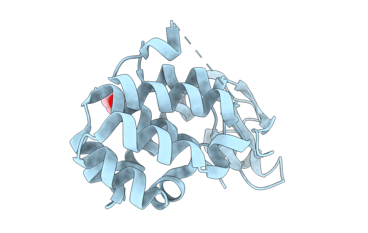 1JTM image